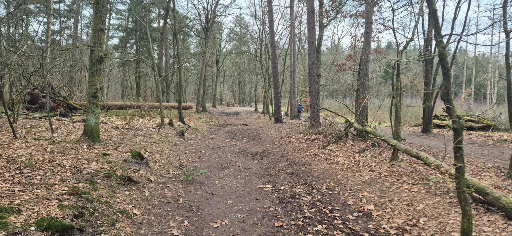Het Veluwse Boshuisje Knus Chalet Met Omheinde Tuin Op De Veluwe Hoenderloo Exterior photo